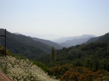 DSCN8268.JPG