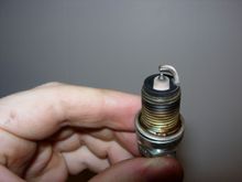 DSCN8259.jpg