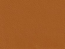 Interior color options