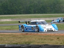 IMG_2371.jpg