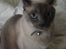 DSC01624.JPG