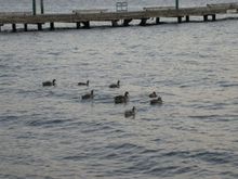 DSCN8512.JPG