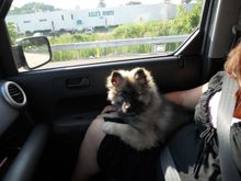 DSCN0449.JPG