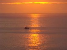 DSC01855.JPG