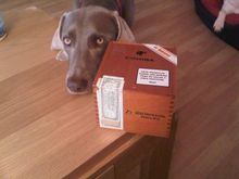 Cohiba Box