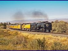 DSC_6992_1.jpg