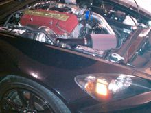 IMAG0027.jpg