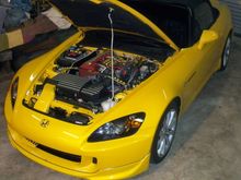 06 rio yellow s2k