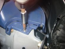 IMG 0920