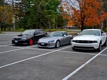DSC 0559e