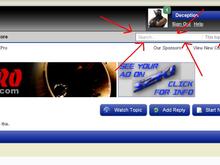search Bar