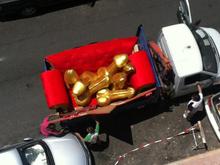 gold dick movers