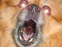 Rusty copy.jpg