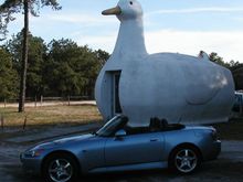 Big Duck.jpg