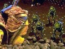 grasshoppers.jpg