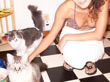 Azucena and Cats.JPG