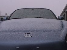 Dsc00010.jpg