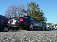 Lude5.JPG