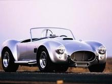 cobra04_small.jpg