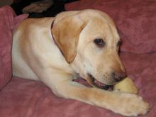 7maggie02-1.jpg