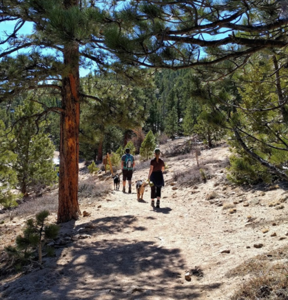 3-18-2017.  Lily Mountain Trail near Estes Park.
