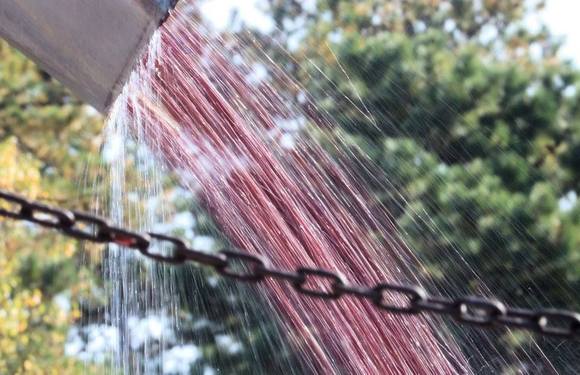 Cranberry rain