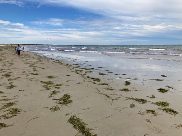 Horseneck Beach Westport MA
