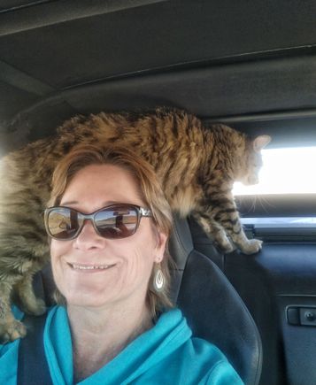 Leo traveling a bit.

