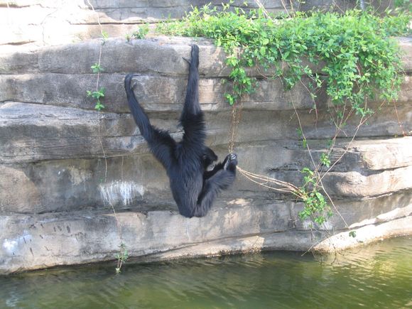 Zoo Trip 008.jpg