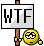 wtf.gif