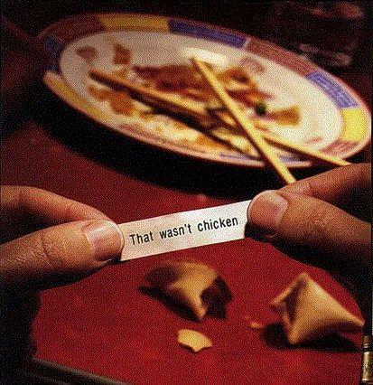 real fortune cookie.jpg