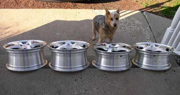 wheels.jpg