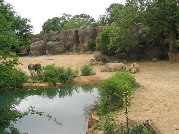 Zoo_5-30-04 013.jpg