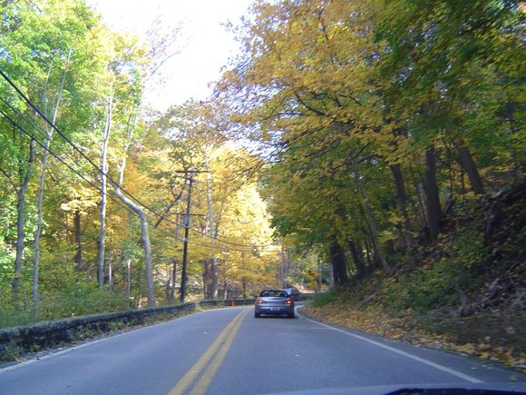 FallColors2004 024.jpg