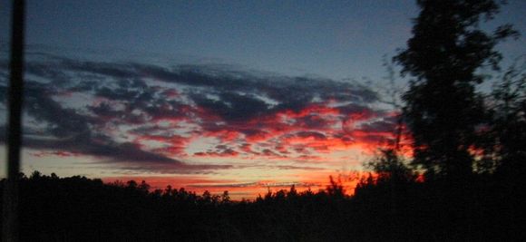 sunset ark.jpg
