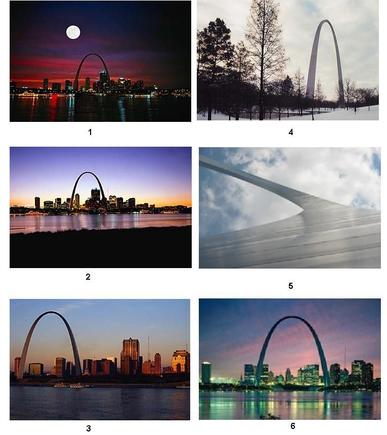 St. Louis Grouping.jpg