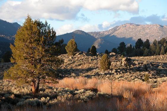 041113 Fall colors.JPG