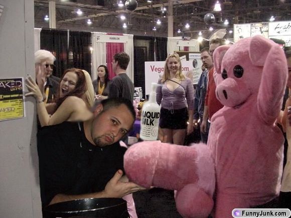 whoa_piggy1.jpg