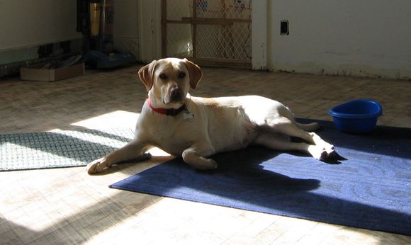 maggie1231.JPG