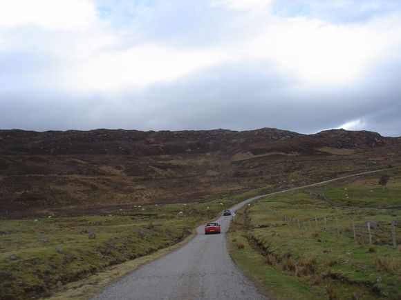 DSC00046_1.jpg