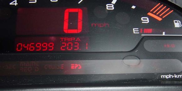 Speedo Detail.JPG