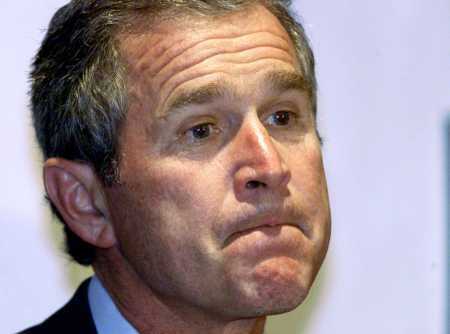 bush_baffled.jpeg