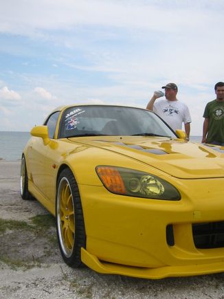 Tarpon 095.jpg