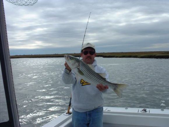 2002_1020_striper2_wb.jpg