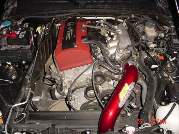 TIMS PICTURES 069 (2).jpg