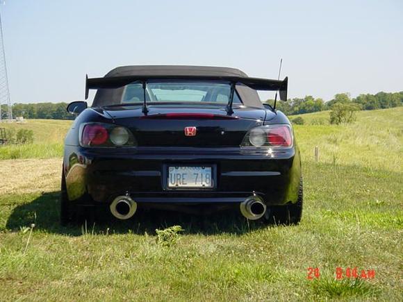 TIMS PICTURES 183.jpg