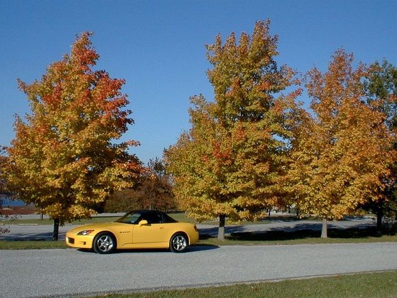 fall2002.jpg