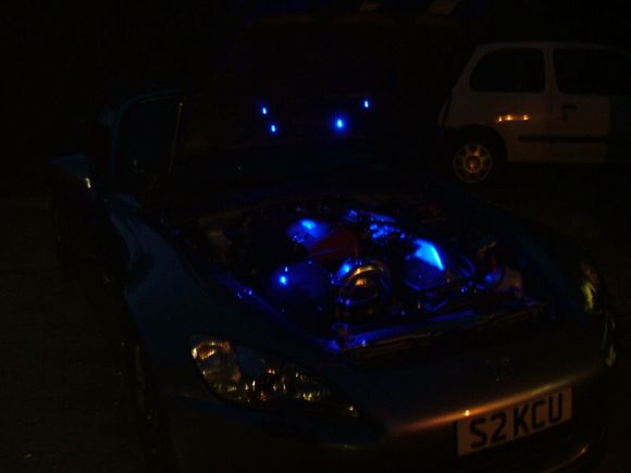 wanker lights 013.jpg