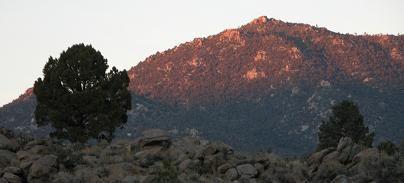 051022 pink hill 4154.JPG