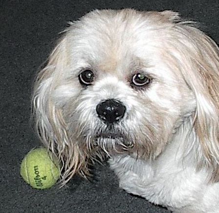 veg and ball.jpg